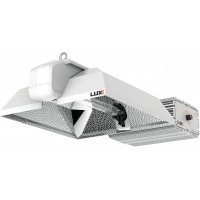 Luxx 1000W DE